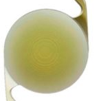 Monofocal Lens