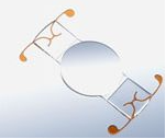 Accommodative Lens