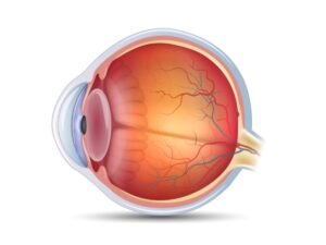 retina treatment in mumbai retina treatment in mumbai